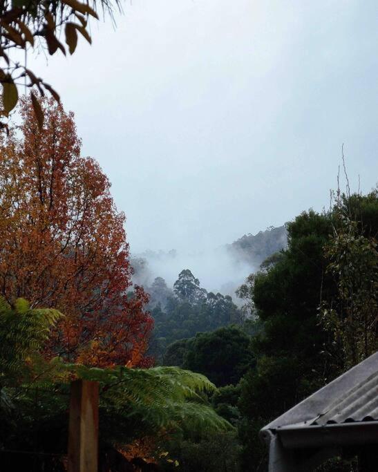 Harrys House Warburton - Peaceful Riverside Cottage In The Perfect Location Luaran gambar