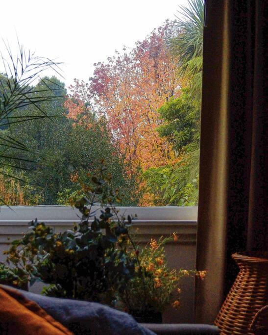 Harrys House Warburton - Peaceful Riverside Cottage In The Perfect Location Luaran gambar
